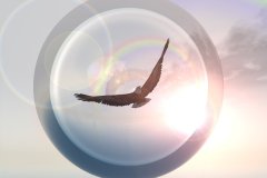 Sky_Eagle_10_by_LinhTruong