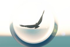 Sky_Eagle_11_by_LinhTruong