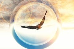 Sky_Eagle_2_by_LinhTruong