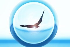 Sky_Eagle_4_by_LinhTruong