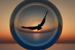 Sky_Eagle_6_by_LinhTruong