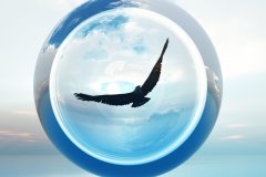 Sky_Eagle_7_by_LinhTruong