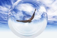 Sky_Eagle_8_by_LinhTruong