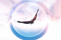 Sky_Eagle_9_by_LinhTruong