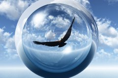 Sky_Eagle_by_LinhTruong