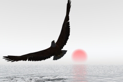 SunRise-Eagle